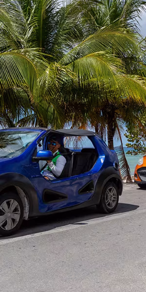 CZM_23_1920X1080 LG1